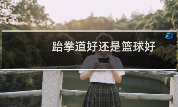 跆拳道好还是篮球好图片