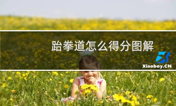 跆拳道怎么得分图解图片