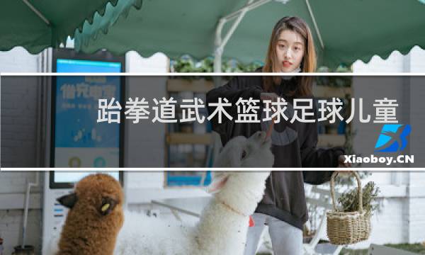 跆拳道武术篮球足球儿童学哪个图片