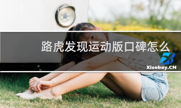 路虎发现运动版口碑怎么样图片