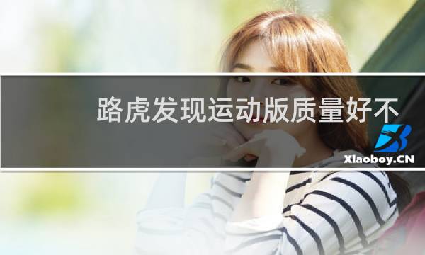 路虎发现运动版质量好不好图片