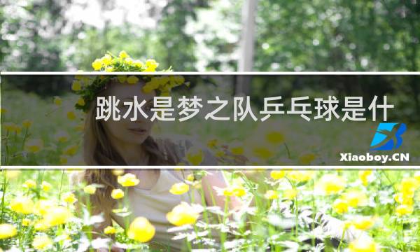 跳水是梦之队乒乓球是什么队图片