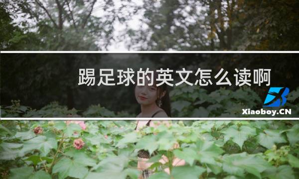踢足球的英文怎么读啊图片