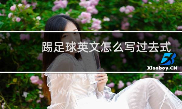 踢足球英文怎么写过去式图片