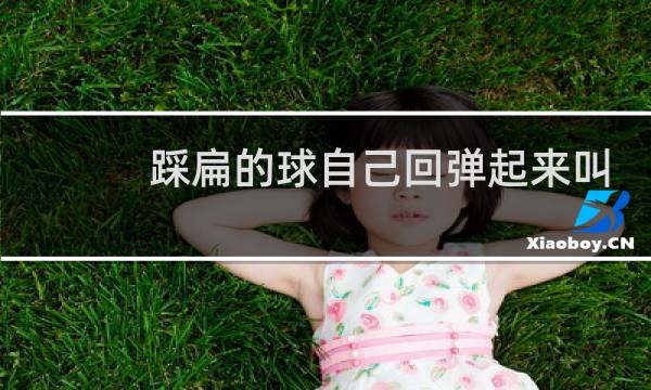 踩扁的球自己回弹起来叫什么图片