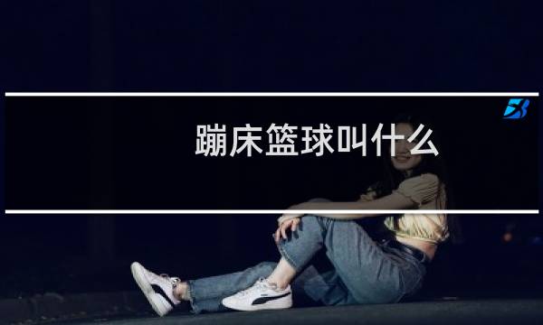 蹦床篮球叫什么图片