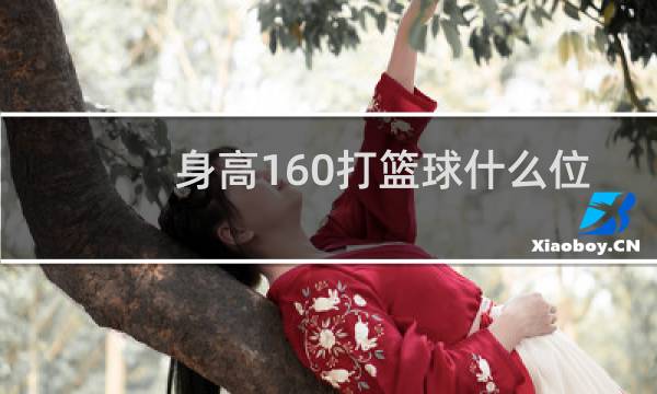 身高160打篮球什么位置图片