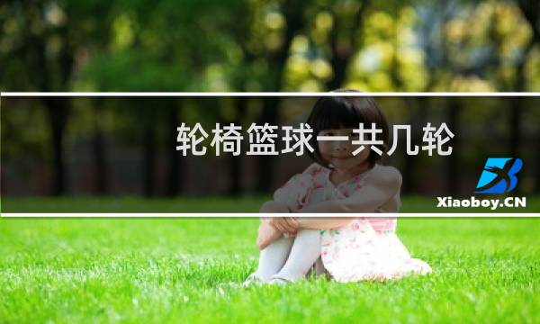 轮椅篮球一共几轮图片