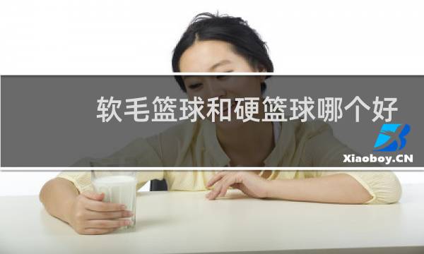 软毛篮球和硬篮球哪个好图片
