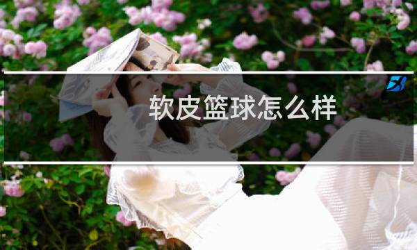 软皮篮球怎么样图片