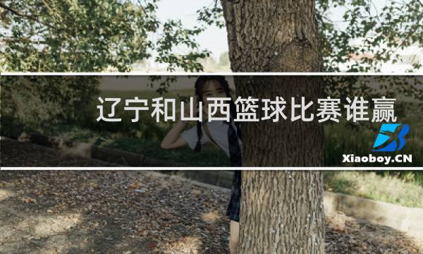 辽宁和山西篮球比赛谁赢了图片