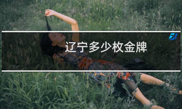 辽宁多少枚金牌图片