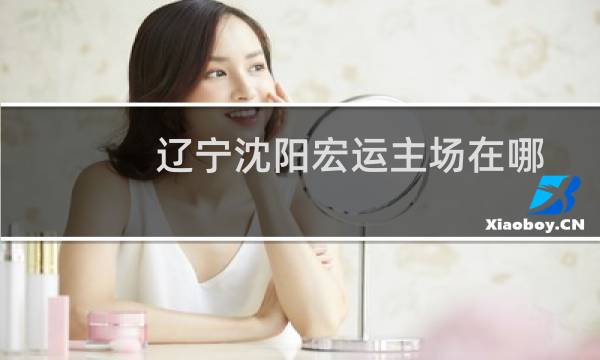 辽宁沈阳宏运主场在哪图片