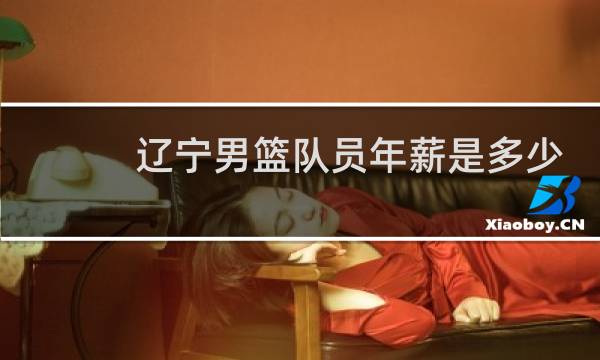 辽宁男篮队员年薪是多少图片