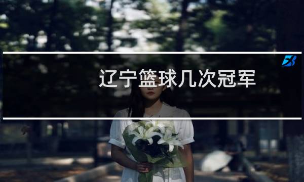 辽宁篮球几次冠军图片