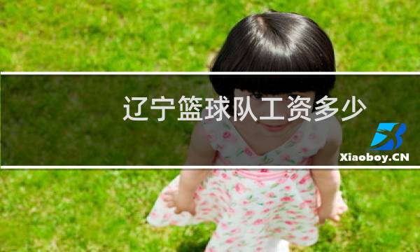 辽宁篮球队工资多少图片