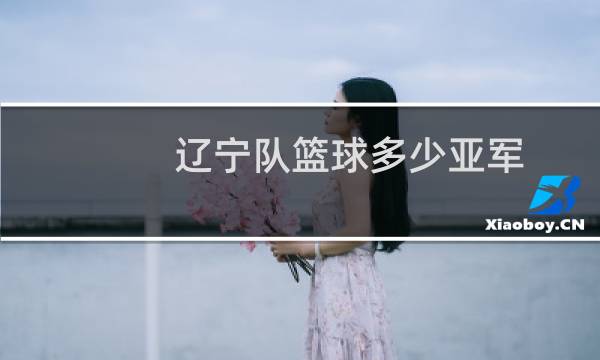 辽宁队篮球多少亚军图片