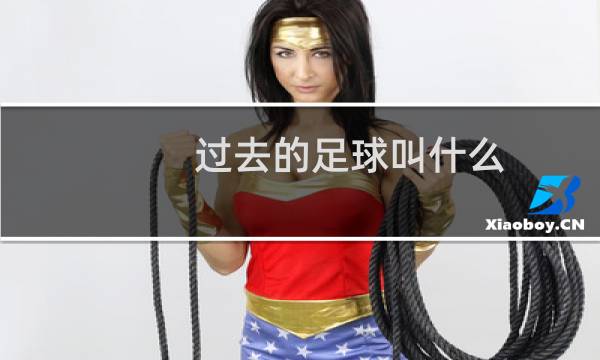 过去的足球叫什么图片
