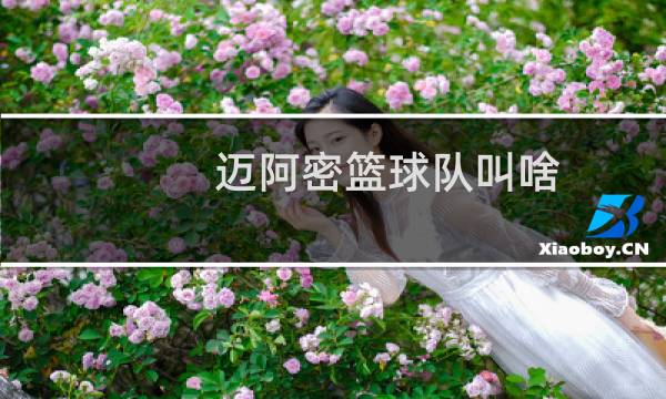 迈阿密篮球队叫啥图片