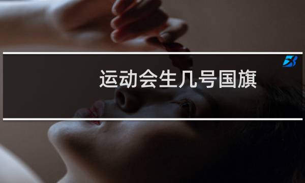 运动会生几号国旗图片