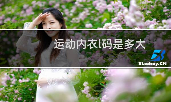 运动内衣l码是多大图片