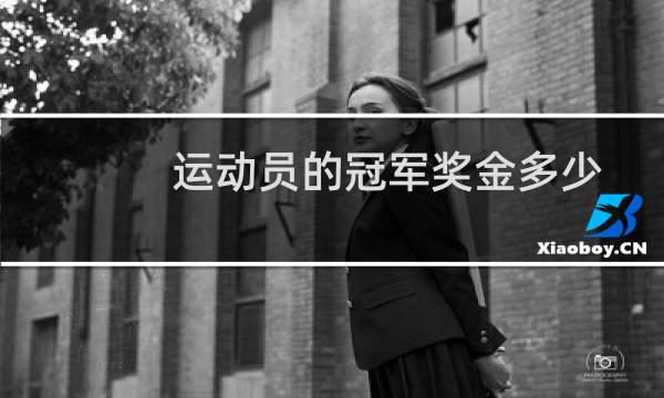 运动员的冠军奖金多少图片