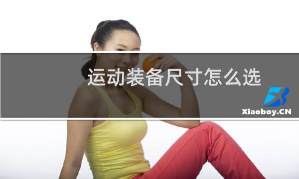 运动装备尺寸怎么选图片