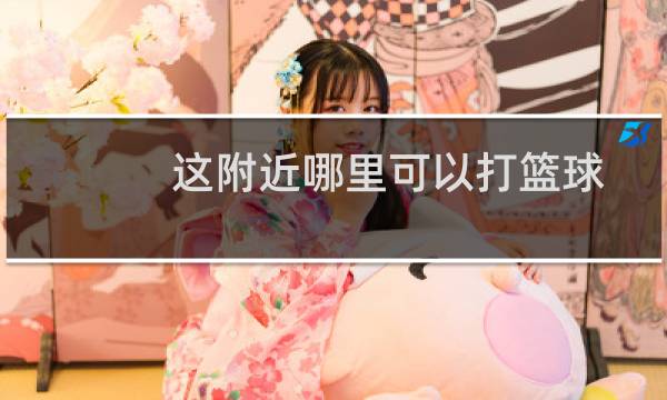 这附近哪里可以打篮球图片