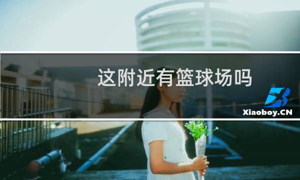 这附近有篮球场吗图片