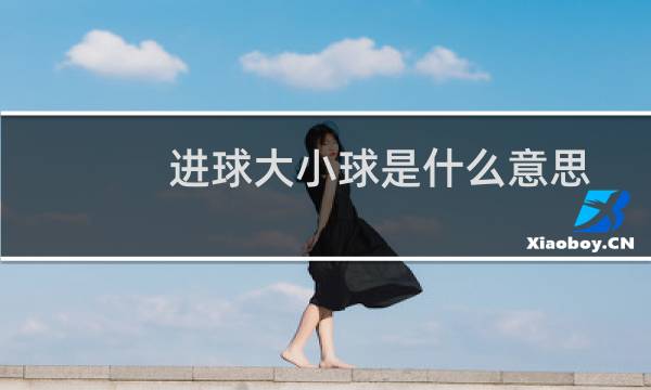进球大小球是什么意思图片