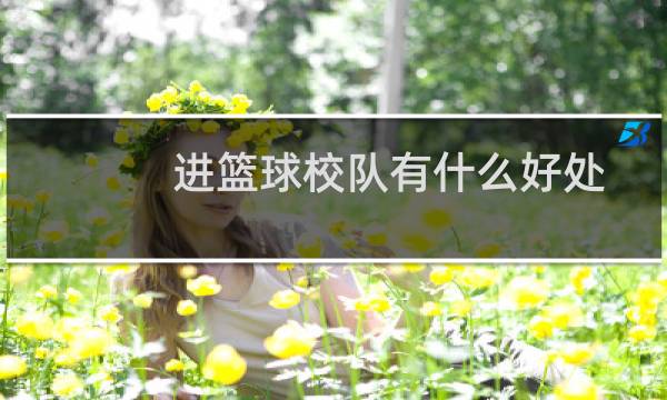进篮球校队有什么好处图片