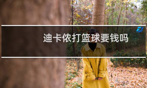 迪卡侬打篮球要钱吗图片