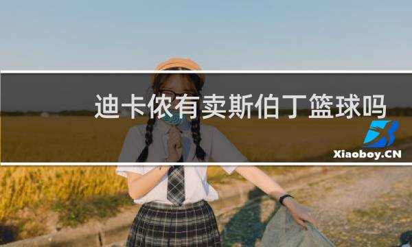 迪卡侬有卖斯伯丁篮球吗图片