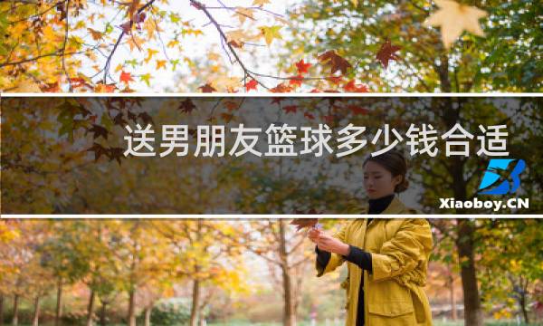 送男朋友篮球多少钱合适图片