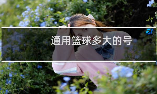 通用篮球多大的号图片