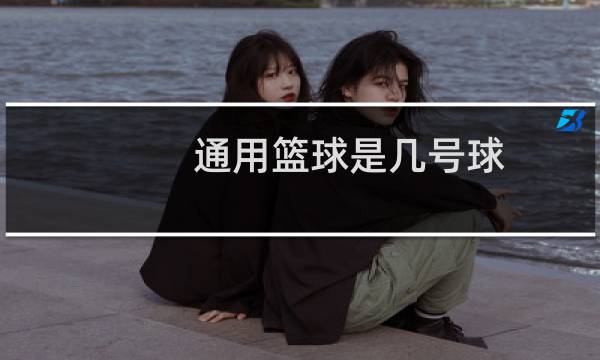 通用篮球是几号球图片