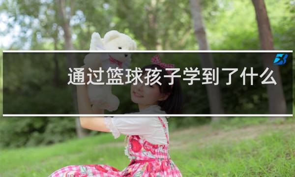 通过篮球孩子学到了什么图片