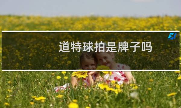 道特球拍是牌子吗