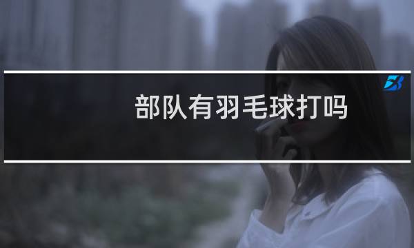 部队有羽毛球打吗图片