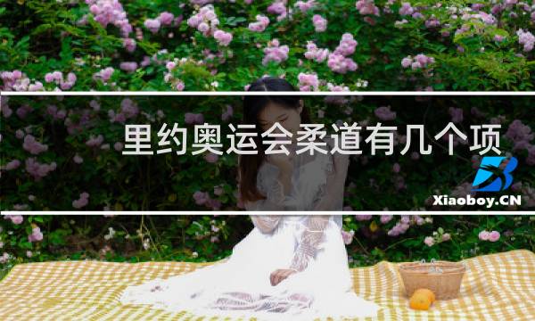里约奥运会柔道有几个项目图片