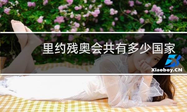 里约残奥会共有多少国家图片