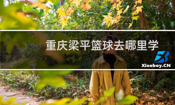 重庆梁平篮球去哪里学图片