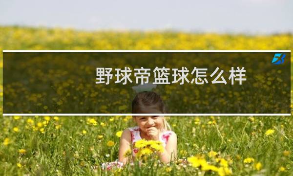 野球帝篮球怎么样图片