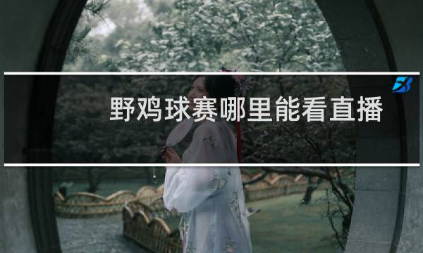野鸡球赛哪里能看直播图片