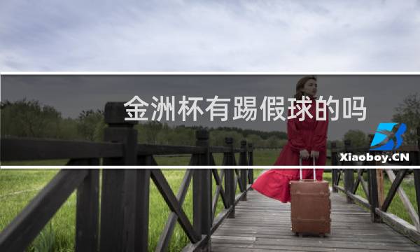 金洲杯有踢假球的吗图片