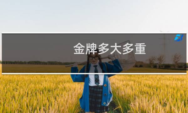 金牌多大多重图片
