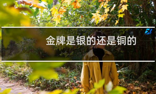 金牌是银的还是铜的图片