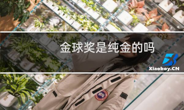 金球奖是纯金的吗图片