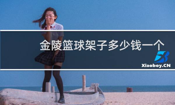金陵篮球架子多少钱一个图片