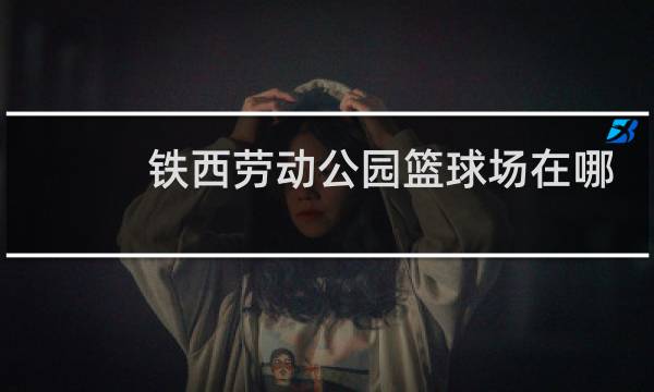铁西劳动公园篮球场在哪图片